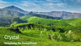  Presentation with green morning - Slide deck with morning munnar kerala state india background and a tawny brown colored foreground