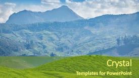  Presentation with green morning - Amazing PPT layouts having morning munnar kerala state india backdrop and a tawny brown colored foreground