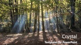  Presentation with shining - Audience pleasing PPT layouts consisting of morning-sun-rays-shining-through backdrop and a tawny brown colored foreground