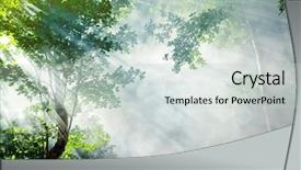  Presentation with forest fairy - Beautiful PPT layouts featuring sun rays trees - morning sunbeam in tropical fairy backdrop and a light gray colored foreground