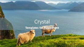  Presentation with island - Colorful PPT theme enhanced with morning-view-on-the-summer backdrop and a seafoam green colored foreground