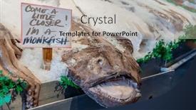  Presentation with ice - Slide set having mornings-fresh-catch and a soft green colored foreground