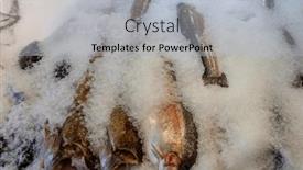  Presentation with ice - PPT layouts enhanced with mornings-fresh-catch and a  colored foreground