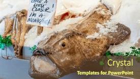  Presentation with ice - PPT theme with mornings-fresh-catch background and a  colored foreground