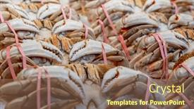  Presentation with ice - Presentation theme featuring mornings-fresh-catch and a  colored foreground