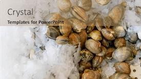  Presentation with ice - Presentation theme having mornings-fresh-catch and a  colored foreground