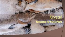  Presentation with ice - Presentation design enhanced with mornings-fresh-catch background and a  colored foreground