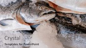  Presentation with ice - Slides featuring mornings-fresh-catch background and a  colored foreground