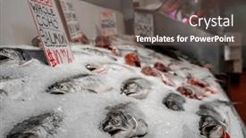  Presentation with ice - PPT theme enhanced with mornings-fresh-catch and a  colored foreground