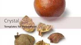  Presentation with pomegranate - Amazing slide set having punica granatum - moroccan dried pomegranate peel backdrop and a coral colored foreground