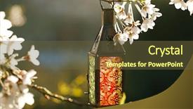  Presentation with lamps - Presentation having moroccan glass and metal lanterns lamps with blossom cherry flower almond background and a tawny brown colored foreground