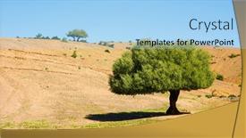  Presentation with single tree - Presentation design consisting of moroccan-landscape-with-single-tree background and a light blue colored foreground
