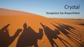  Presentation with caravan - Presentation theme having morocco nights - camal caravan on a nomad background and a light blue colored foreground