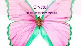  Presentation with pink and green - Cool new slide set with morpho is a large pink backdrop and a lemonade colored foreground