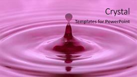  Presentation with juice pomegrante - Cool new PPT theme with morse - cherry juice backdrop and a  colored foreground