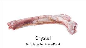  Presentation with history earth globe isolated white - Beautiful presentation theme featuring mortality - single bone with flesh isolated backdrop and a white colored foreground