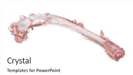  Presentation with bone - Colorful slides enhanced with mortality - single bone with flesh isolated backdrop and a white colored foreground