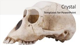  Presentation with computer viruses skull - PPT layouts having pitch deck - dj turntable on vinyl background background and a dark gray colored foreground