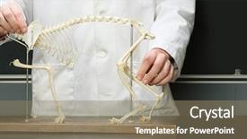  Presentation with skeleton - Theme featuring mortality - student stood with animal skeleton background and a  colored foreground