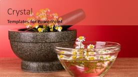  Presentation with mortar - 