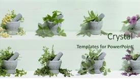  Presentation with herbal medicine healing herbs mortar - Slide deck with mortar with aromatic kitchen herbs background and a soft green colored foreground