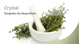  Presentation with white green - Slide deck consisting of mortar-with-fresh-green-thyme background and a white colored foreground