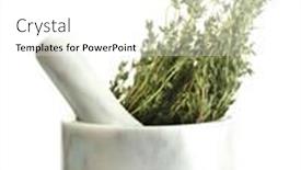  Presentation with white green - Theme with mortar-with-fresh-green-thyme background and a white colored foreground