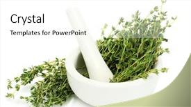  Presentation with thyme - Theme enhanced with mortar with fresh green thyme background and a white colored foreground