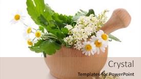  Presentation with mortar - Cool new presentation design with mortar with herbs isolated on white backdrop and a coral colored foreground