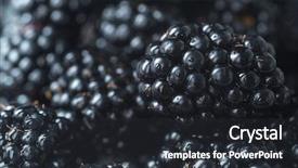  Presentation with focus - Beautiful slide deck featuring morus - closeup image of mulberry focus backdrop and a dark gray colored foreground