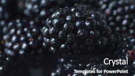  Presentation with together we focus - Audience pleasing slide deck consisting of morus - closeup image of mulberry focus backdrop and a wine colored foreground