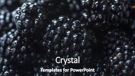  Presentation with engineering robotics development closeup electronics - PPT theme enhanced with morus - closeup image of mulberry focus background and a wine colored foreground