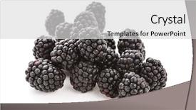  Presentation with pile - Audience pleasing PPT theme consisting of morus - closeup of a pile backdrop and a  colored foreground