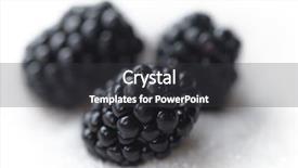  Presentation with blackberry - Slide deck consisting of morus - image of sweet blackberry isolated background and a dark gray colored foreground