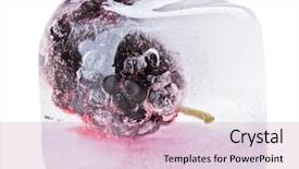  Presentation with white mulberry - Audience pleasing slides consisting of morus - one black mulberry fruit inside backdrop and a coral colored foreground