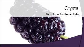 Presentation with white mulberry - Theme featuring morus - one mulberry fruits isolated background and a white colored foreground