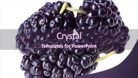  Presentation with white mulberry - Beautiful presentation theme featuring morus - three mulberry fruits isolated backdrop and a wine colored foreground