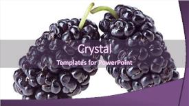  Presentation with white mulberry - PPT layouts with morus - two mulberry fruits isolated background and a tawny brown colored foreground