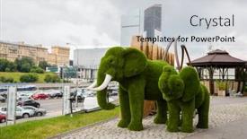  Presentation with elephants - 