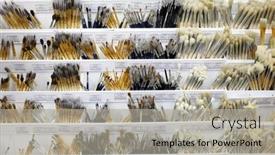  Presentation with hobbies - 