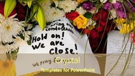  Presentation with embassy - Audience pleasing slides consisting of moscow-march-14-flowers backdrop and a coral colored foreground