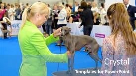  Presentation with judge - 