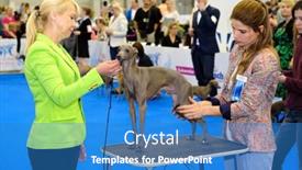  Presentation with judge - 