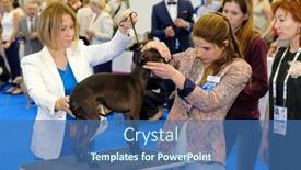  Presentation with judge - 