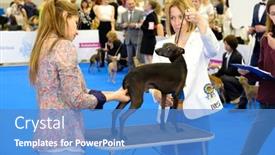  Presentation with judge - 