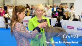  Presentation with judge - 