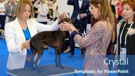  Presentation with judge - 