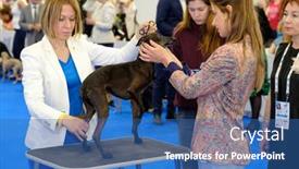  Presentation with judge - 