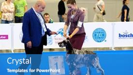  Presentation with judge - 