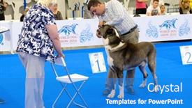  Presentation with judge - 